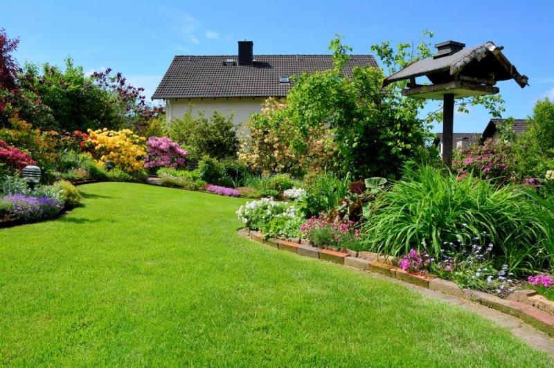 Plantations vari&eacute;es &agrave; Thiais, comment bien choisir ?