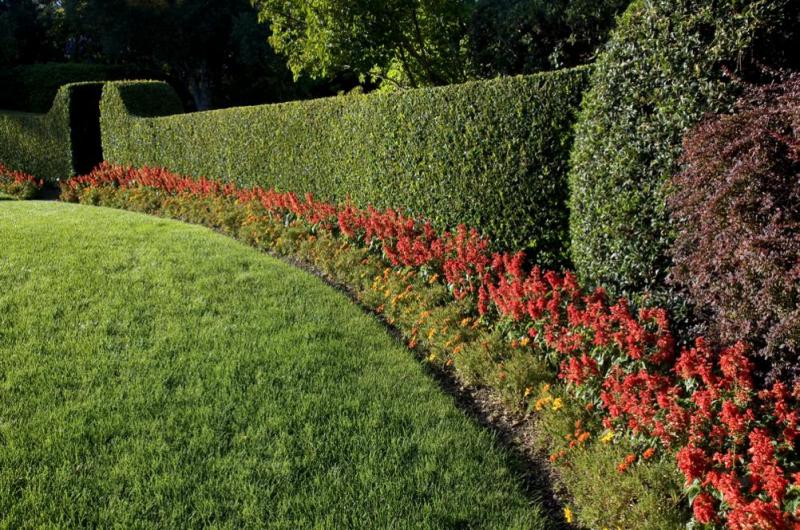 Un contrat d'entretien r&eacute;gulier garde le jardin soign&eacute; toute l'ann&eacute;e